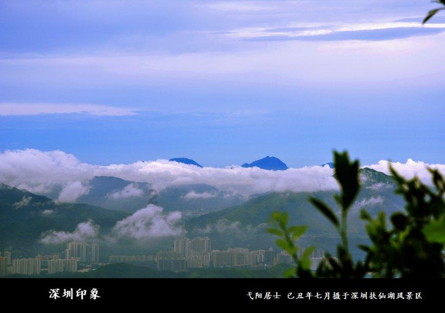 紫色魔法师守城中文版