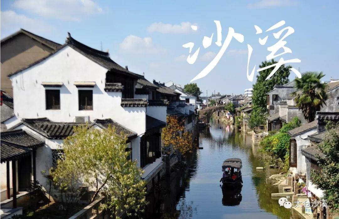 救援非洲金猫