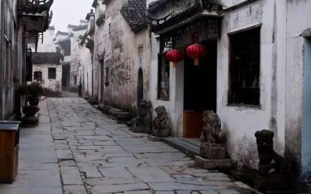头油头秃发缝宽?坚持以下几点,从此告别脂溢性脱发!